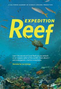 Poster "Expedition Reef"