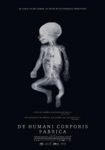 Poster "De Humani Corporis Fabrica"