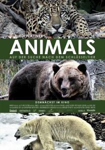 Poster "Animals"