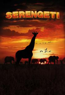 Poster "Serengeti"
